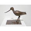 Tribute: Lone Godwit