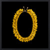 Aotea'ula Sikis (Kōwhai / Harakeke)