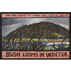 Bush Looms in Winter