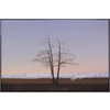 Ballet Tree, Becks