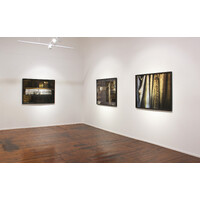 Genesis Exhibition View