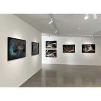 Palimpsest / Landscapes Exhibition View