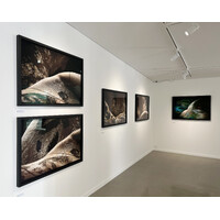 Palimpsest / Landscapes Exhibition View