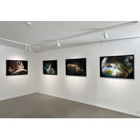 Palimpsest / Landscapes Exhibition View