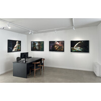 Palimpsest / Landscapes Exhibition View