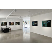 Palimpsest / Landscapes Exhibition View