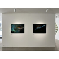 Palimpsest / Landscapes Exhibition View