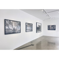 Moments of Presence Exhibition View