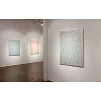 Painting Blossoms Exhibition View