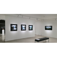 In Situ Exhibition View