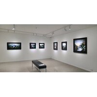 In Situ Exhibition View