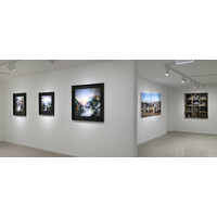 In Situ Exhibition View