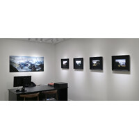 In Situ Exhibition View