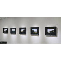 In Situ Exhibition View