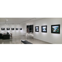 In Situ Exhibition View