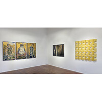 Illumination Exhibition View