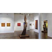 Illumination Exhibition View