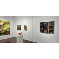 Illumination Exhibition View