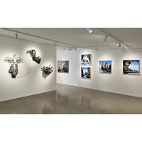 Ecology Exhibition View