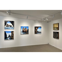 Ecology Exhibition View