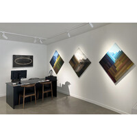 Ecology Exhibition View