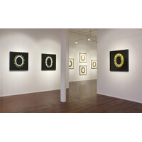 Aotea'ula Exhibition View