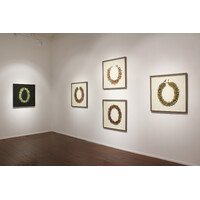 Aotea'ula Exhibition View