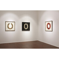 Aotea'ula Exhibition View