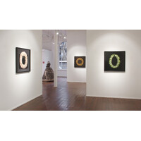 Aotea'ula Exhibition View