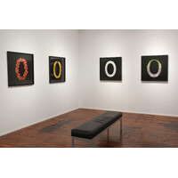 Aotea'ula Exhibition View