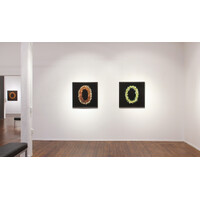 Aotea'ula Exhibition View
