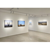 Close to Home Exhibition View