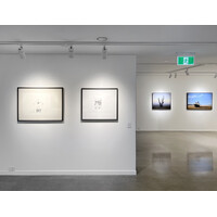 Close to Home Exhibition View