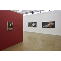 Coconuts That Grew
From Concrete Exhibition View