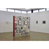 Coconuts That Grew
From Concrete Exhibition View