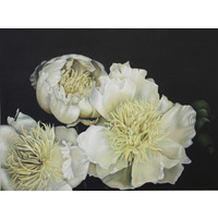 How it Feels to Listen (Slowly Fading Forms)