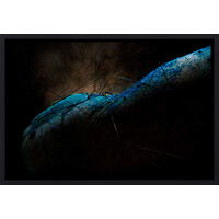 Rain Over the Blue Planet