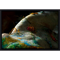 Sea from on an Ocean Floor