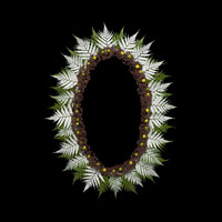 Aotea'ula Faef (Ponga / Puriri / Puahou / Harakeke)