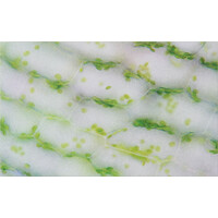 Pattern and Chance - Net