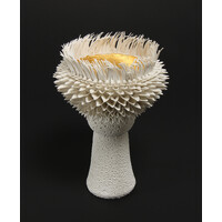 Sea Anemone I