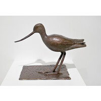 Tribute: Lone Godwit