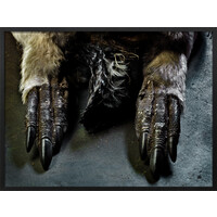 Scott's Hut Cape Evans 5