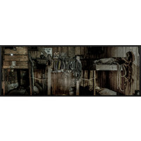 Scott's Hut Cape Evans 8