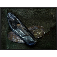 Scott's Hut Cape Evans 12