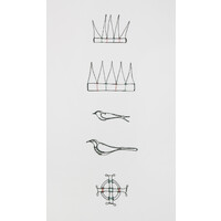 Portrait of the Pīpīwharauroa Before the Swallow