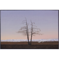 Ballet Tree, Becks