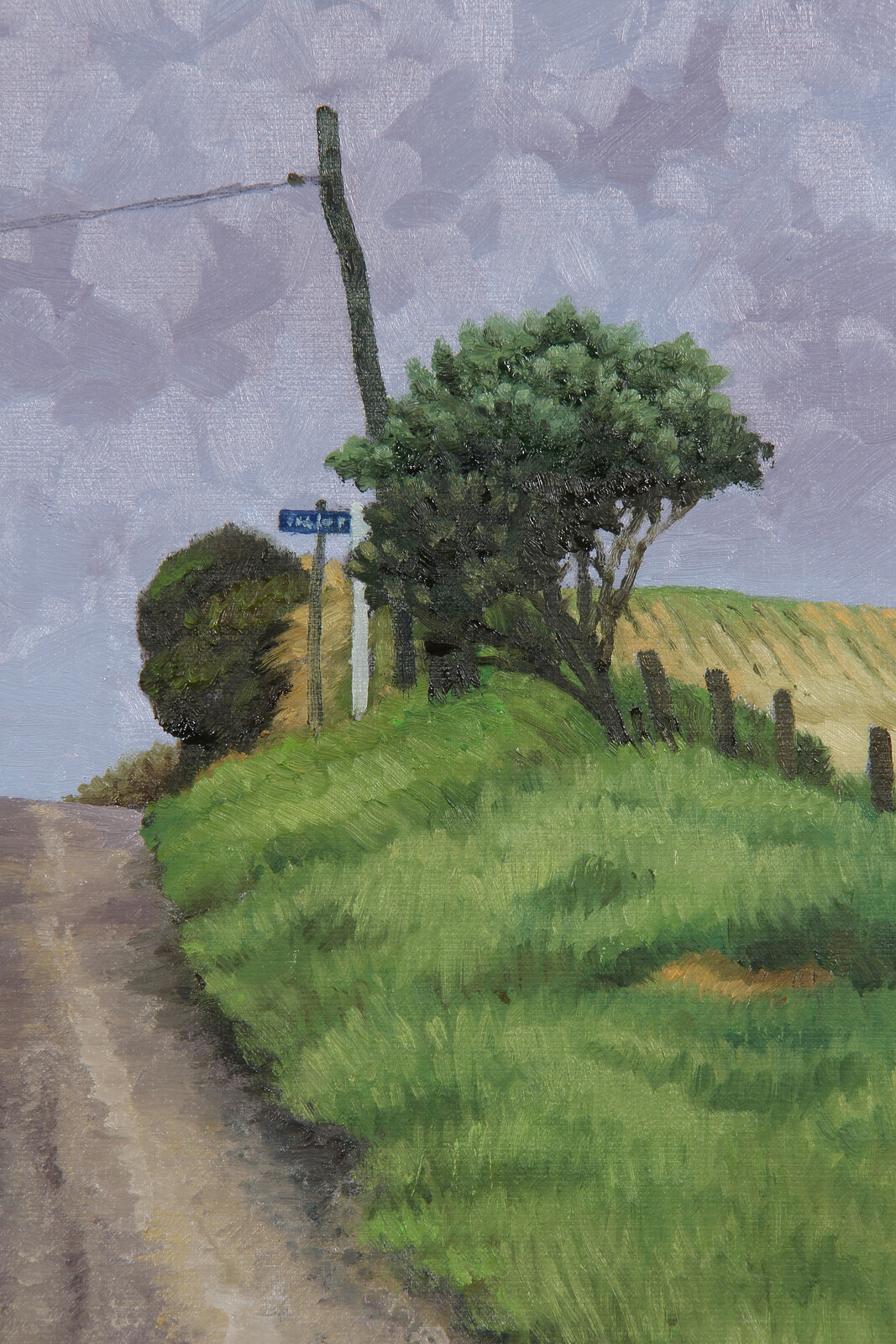 Dick frizzell trimmed hedge milford galleries queenstown